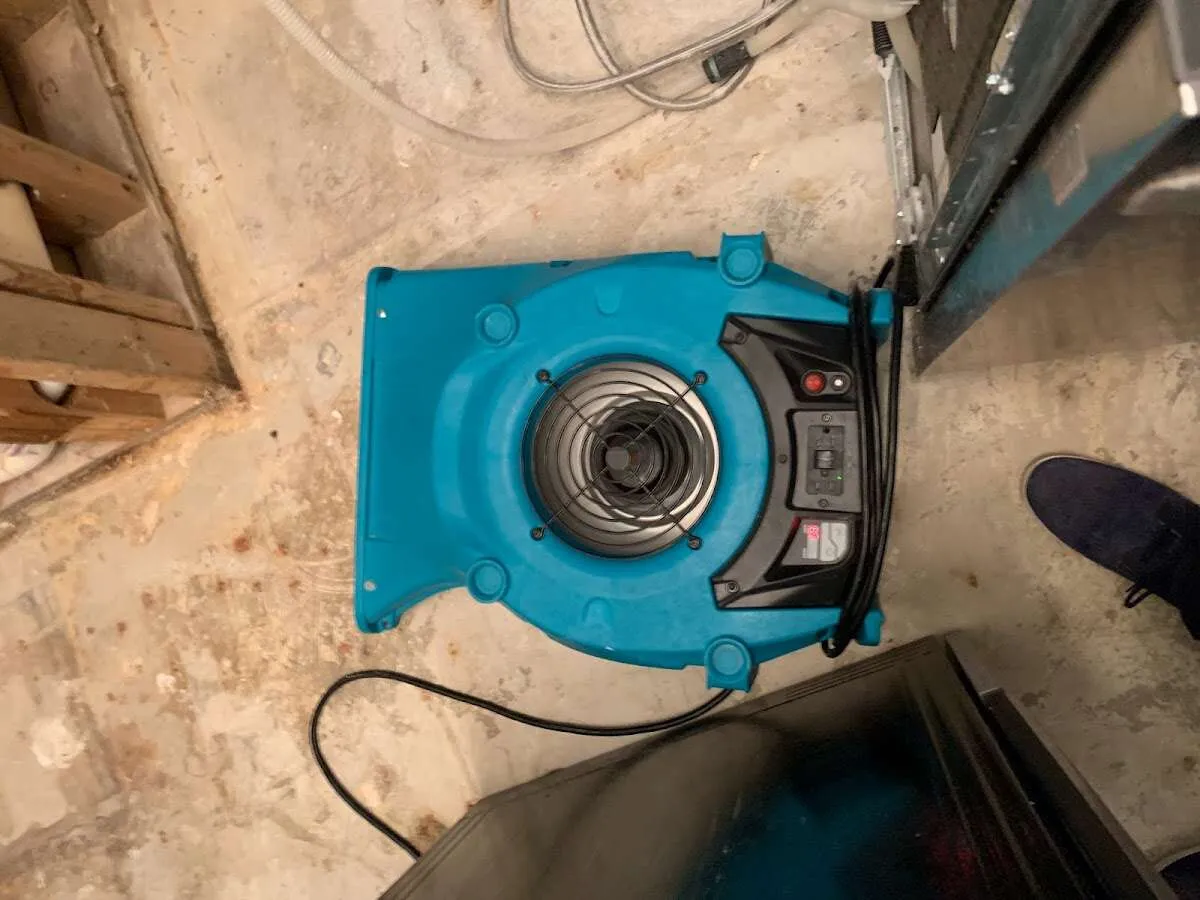 Air mover drying equipment for Mold Remediation & Removal in Dahlonega